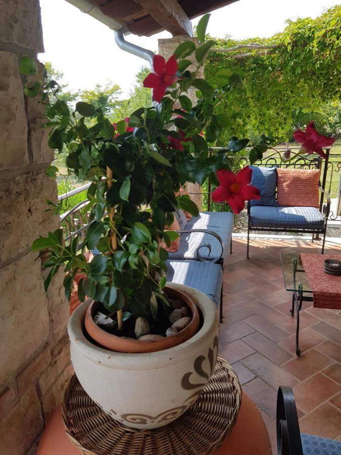 Villa Slivari Zminj Bagian luar foto